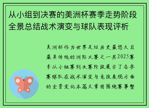 从小组到决赛的美洲杯赛季走势阶段全景总结战术演变与球队表现评析